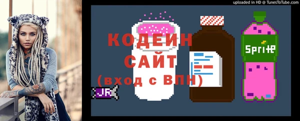 мяу мяу мука Иннополис