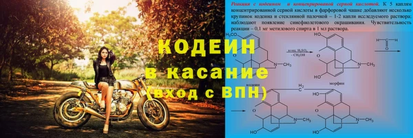 мяу мяу мука Иннополис