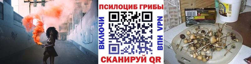 Псилоцибиновые грибы прущие грибы  Купить  Медвежьегорск 